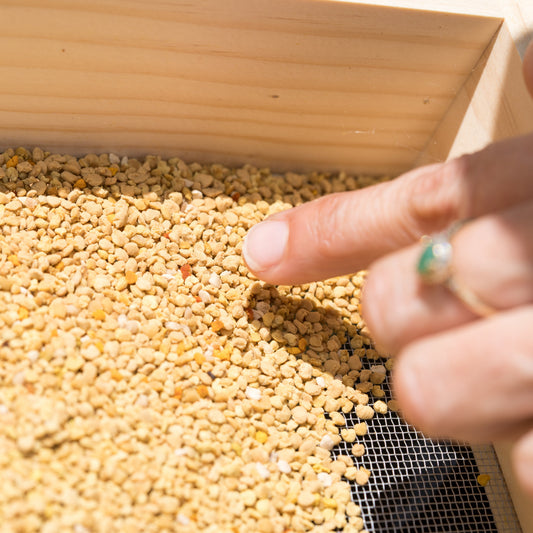 Fresh Hawaiian Bee Pollen